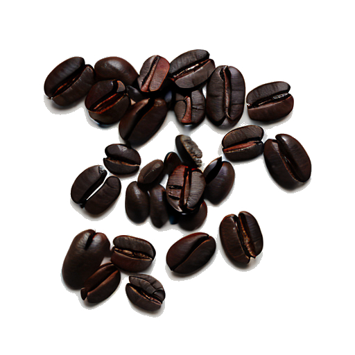 Baristas Working Together